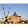 Image 1 : 10-day Namibia Plains Game Hunt and Taxidermy Credit for One Hunter and One Observer