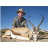 Image 2 : 10-day Namibia Plains Game Hunt and Taxidermy Credit for One Hunter and One Observer