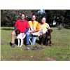 Image 2 : 3-day California Tule Elk Cow, Boar and Quail Hunt for One Hunter