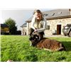 Image 3 : 5-day Ireland Free-ranging Sika Deer and Soay Sheep Hunt for One Hunter and One Observer