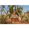 Image 1 : 3-day Texas Trophy Axis Deer Hunt For One Hunter and One Non-hunter