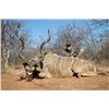 Image 1 : 12-day South African Archery Plains Game Hunt for Two Hunters and Two Observers