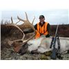 Image 1 : 5-day Quebec Caribou Hunt for One Hunter