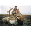 Image 2 : 5-day Quebec Caribou Hunt for One Hunter