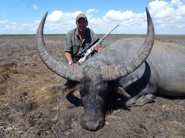 5 Day Australia Water Buffalo Cull Hunt For One Hunter And One
