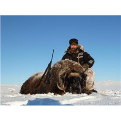 4-day Greenland Muskox Hunt in Nunavut for One Hunter