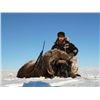 Image 1 : 4-day Greenland Muskox Hunt in Nunavut for One Hunter