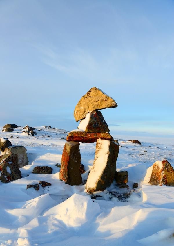 4-day Greenland Muskox Hunt in Nunavut for One Hunter - Safari Club ...