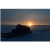 Image 5 : 4-day Greenland Muskox Hunt in Nunavut for One Hunter
