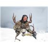 Image 2 : 7-day British Columbia Rocky Mountain Mule Deer Hunt for One Hunter