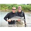 Image 3 : 5-day Alaska Salmon and Halibut fishing trip for Two Anglers