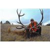Image 1 : 7-day Montana Rocky Mountain Elk, Pronghorn and Deer Hunt for One Hunter