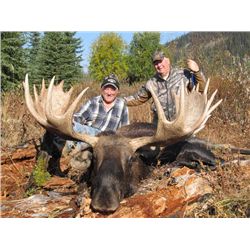 10-day British Columbia Moose Hunt for One Hunter