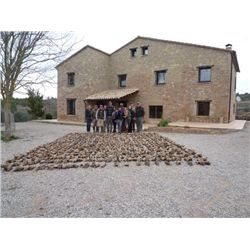 3-day Spain Red-Legged Partridge Hunt and Sightseeing for One Hunter and One Observer