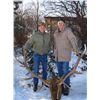 Image 1 : 5-day, Montana Rocky Mountain Elk Hunt for One Hunter and Observer