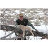 Image 2 : 7-day Wyoming Mountain Lion and Bobcat Hunt for One Hunter