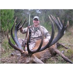 5-day New Zealand Rusa Stag for Two Hunters