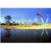 Image 2 : 7-day South Africa Plains Game Hunt for Four Hunters and Four Observers