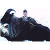Image 4 : 5-day New Zealand Tahr Hunt for Four Hunters and Four Observers