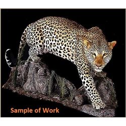 Custom Taxidermy for a Leopard Mount