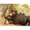 Image 2 : 10-day Mozambique Sable Hunt for One Hunter and One Observer