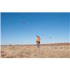 Image 3 : 3-day Mexico Wild Pheasant Hunt for Four Hunters