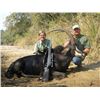 Image 3 : 10-day Mozambique Sable Hunt for One Hunter and One Observer