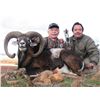 Image 3 : 5-day Spain Iberian Mouflon Sheep Hunt for One Hunter and One Observer