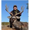 Image 3 : 3-day New Mexico Desert Mule Deer Hunt up to 170 SCI for 1 Hunter and 1 Observer