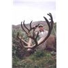 Image 1 : 7-day Northwest Territories Mountain Caribou Hunt for One Hunter