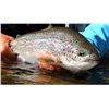 Image 1 : 8-day British Columbia Lodge-Based, Fly-Out Fly Fishing Trip for Two Anglers