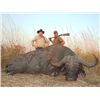 Image 2 : 10-day Tanzania Cape Buffalo Hunt for One Hunter and One Observer