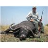 Image 3 : 10-day Tanzania Cape Buffalo Hunt for One Hunter and One Observer