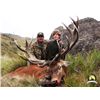 Image 1 : 5-day Argentina Silver-Medal Red Stag Hunt for One Hunter and One Observer
