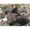 Image 1 : 5-day New Zealand Himalayan Tahr Hunt for One Hunter and One Observer