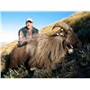 Image 3 : 5-day New Zealand Himalayan Tahr Hunt for One Hunter and One Observer