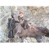 Image 2 : 5-day New Zealand Free-Ranging Himalayan Tahr Hunt for One Hunter and One Observer