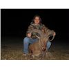 Image 3 : 5-day Texas Best Available Aoudad Hunt for One Hunter