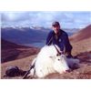 Image 1 : 6-day Kodiak Island Mountain Goat Hunt for One Hunter
