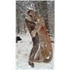 Image 2 : 7-day British Columbia Lynx, Bobcat, Coyote and Wolf Hunt for One Hunter