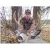 Image 2 : 6-day British Columbia Rocky Mountain Elk and Mule Deer Hunt for Two Hunters