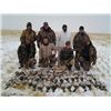 Image 3 : 3-day Saskatchewan Goose and Duck Hunt for Three Hunters