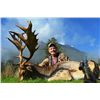 Image 2 : 6-day New Zealand Gold-Medal Red Stag and Fallow Deer hunt for One Hunter and One Observer