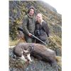 Image 1 : 5-day New Zealand Chamois Hunt for One Hunter and One Observer