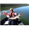 Image 2 : 8-day/7-night British Columbia Fishing Adventure for Two Anglers