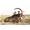 Image 3 : 10-day Tanzania Cape Buffalo and Plains Game Hunt for One Hunter and One Observer