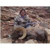 Image 2 : Navajo Nation Desert Bighorn Sheep Tag