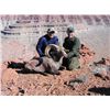 Image 3 : Navajo Nation Desert Bighorn Sheep Tag