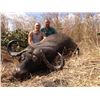 Image 1 : 7-day Tanzania Cape Buffalo Hunt for One Hunter and One Observer