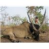 Image 2 : 7-day Cameroon Central Savanna Buffalo or Roan Hunt for One Hunter and One Observer